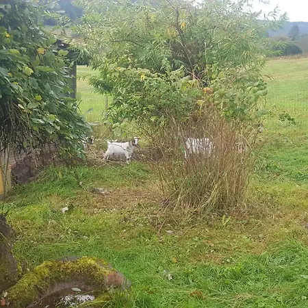 Apartment Ziegler Salbei