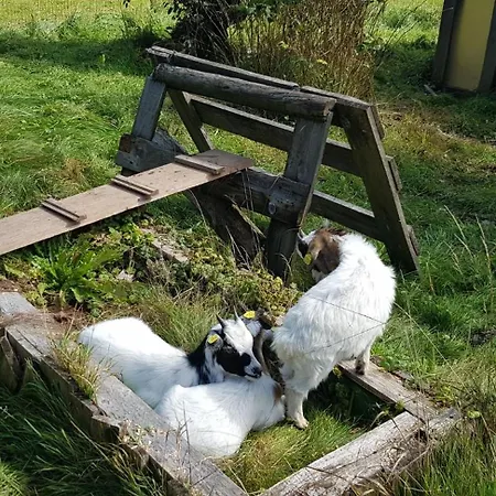 Apartment Ziegler Salbei *