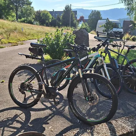 Apartment Ziegler Salbei *